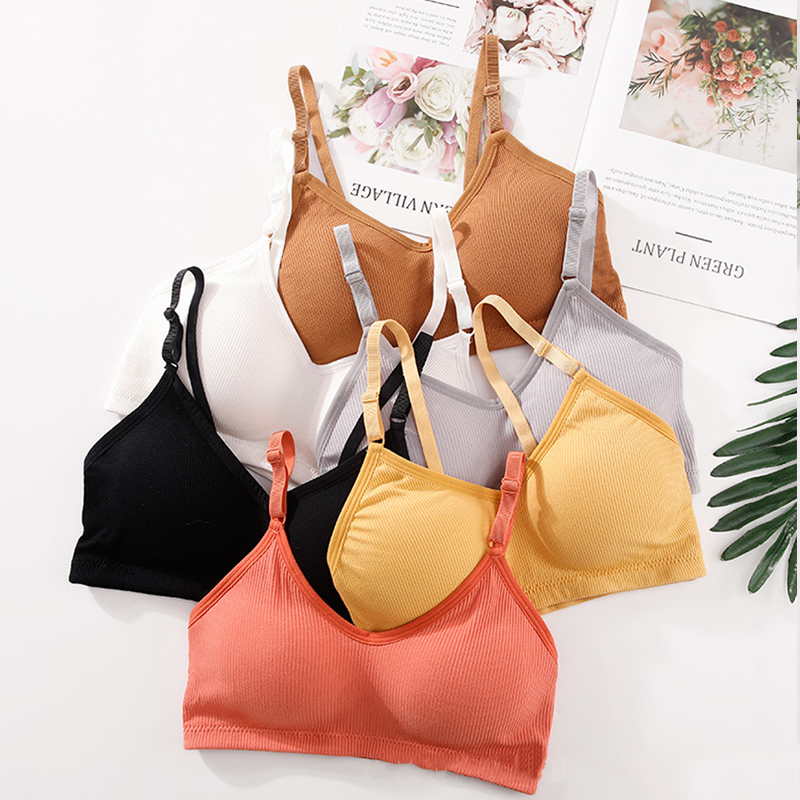 Reggiseno Estivo Senza Ferrett - T Shirt Bra Seamless recensione e prezzo